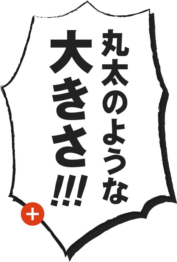 丸太のような太さ