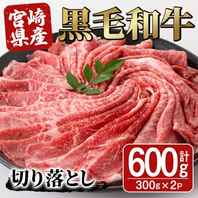 宮崎牛 切り落とし