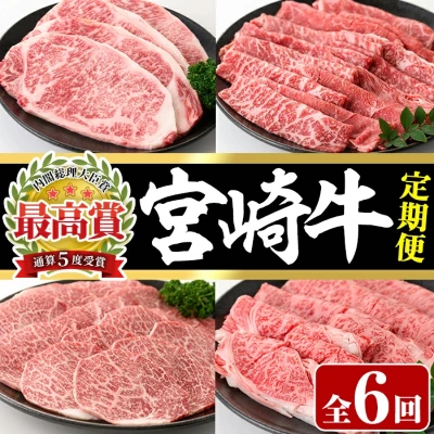 宮崎牛 定期便全6回