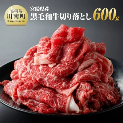 宮崎県産切り落とし 600g