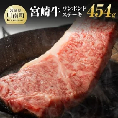 宮崎牛 ワンポンドステーキ 454g