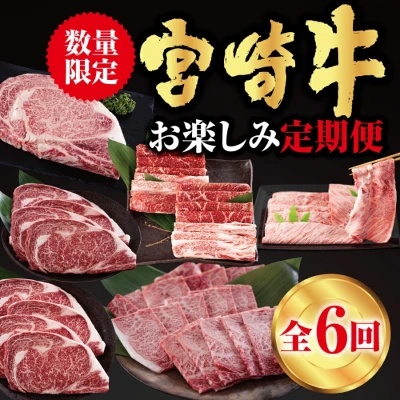 宮崎牛 定期便全6回