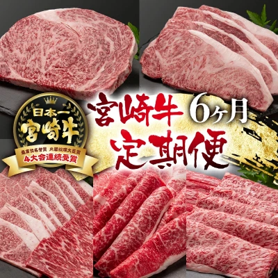 宮崎牛 定期便6ヶ月