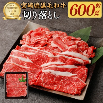 宮崎県産 黒毛和牛切り落とし 600g