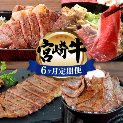 宮崎牛 定期便全6回